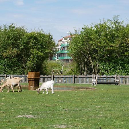 Aparthotel Huize De Duinen Bergen aan Zee Exterior foto